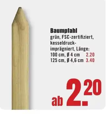 B1 Discount Baumarkt Baumpfahl Angebot