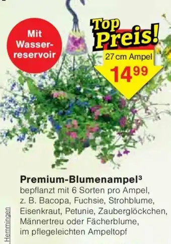 Jawoll Premium-Blumenampel Angebot