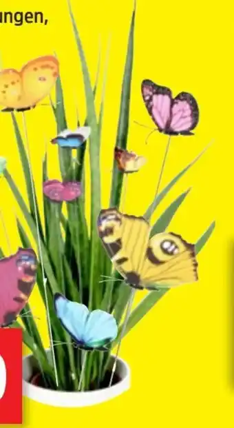 Thomas Philipps Dekostecker Schmetterling Angebot