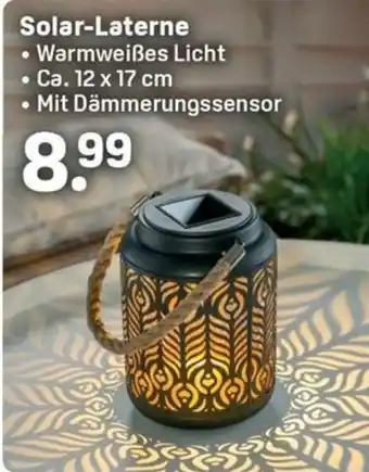Rossmann Solar-Laterne Angebot