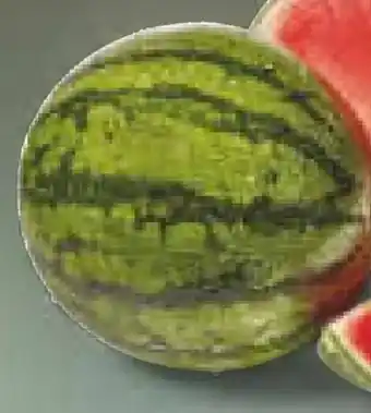 Netto Marken-Discount Mini-Wassermelone Angebot