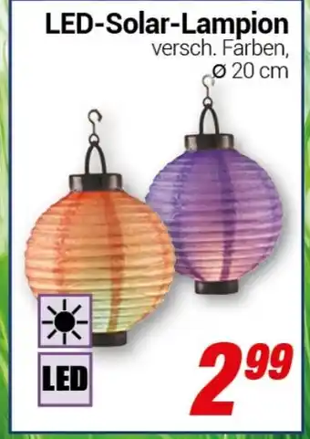 CENTERSHOP LED-Solar-Lampion Angebot