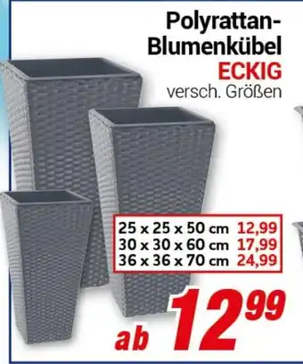 CENTERSHOP Polyrattan- Blumenkübel ECKIG Angebot