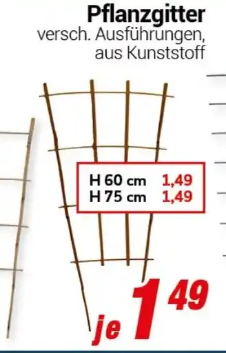 CENTERSHOP Pflanzgitter Angebot