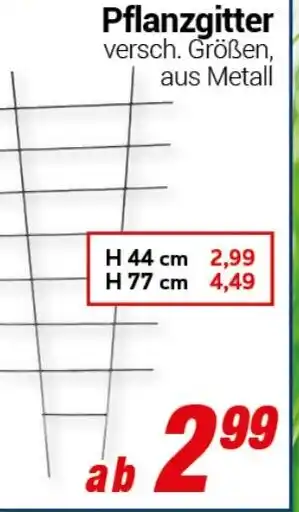 CENTERSHOP Pflanzgitter Angebot