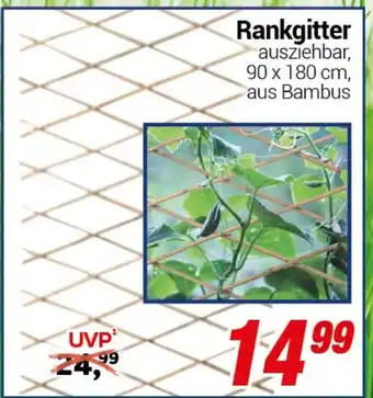CENTERSHOP Rankgitter Angebot