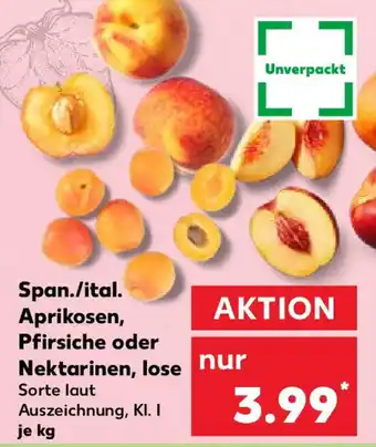 Kaufland Span./ital. Aprikosen, Pfirsiche oder Nektarinen, lose Angebot