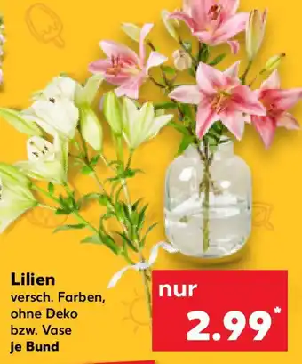 Kaufland Lilien Angebot