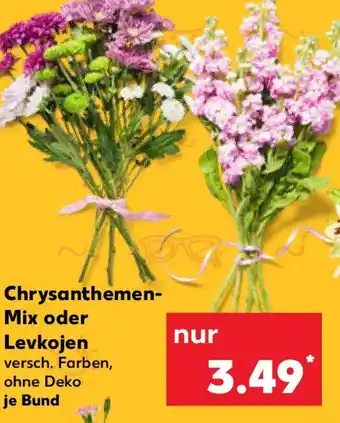 Kaufland Chrysanthemen- Mix oder Levkojen Angebot