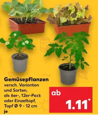 Kaufland Gemüsepflanzen Angebot