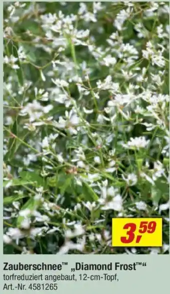 toom Baumarkt Zauberschnee „Diamond Frost" Angebot