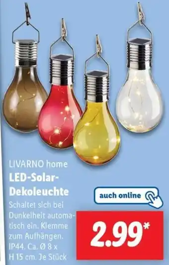 Lidl LIVARNO home LED-Solar Dekoleuchte Angebot