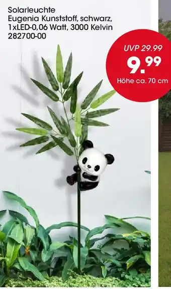 Möbel Martin Solarleuchte Angebot