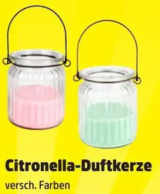 Thomas Philipps Citronella-Duftkerze Angebot