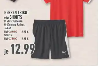 Marktkauf Herren Trikot oder Shorts Angebot