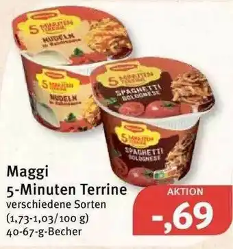 Feneberg Maggi 5-minuten Terrine Angebot