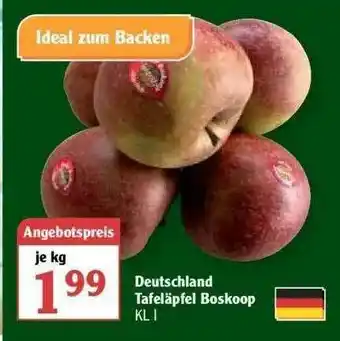 Globus Deutschland Tafeläpfel Boskoop Angebot