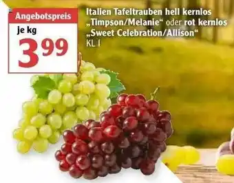 Globus Italien Tafeltrauben Hell Kernlos „timpson Melanie” Oder Rot Kernlos „sweet Celebration Allison” Angebot