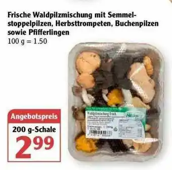 Globus Frische Waldpilzmischung Mit Semmel-stoppelpilzen Herbsttrompeten Buchenpilzen Sowie Pfifferlingen Angebot