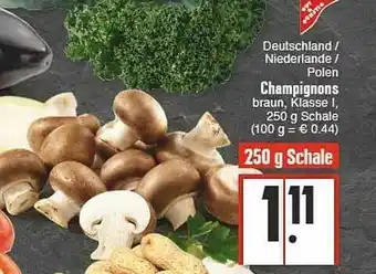 E-Center Deutschland Niederlande Polen Champignons Angebot