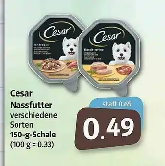 Markant Markt Cesar Nassfutter Angebot