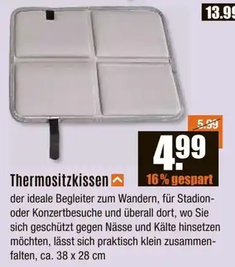 V Baumarkt Thermositzkissen Angebot