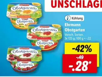 Lidl Ehrmann obstgarten Angebot