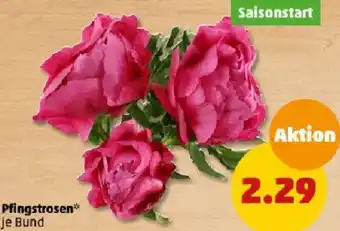 PENNY Pfingstrosen Angebot