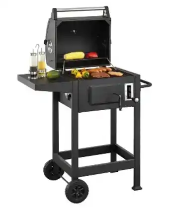 Netto Marken-Discount Holzkohle Grill Missouri Angebot