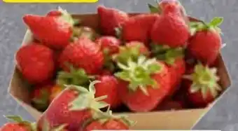 Edeka Frischemarkt Erdbeeren Angebot