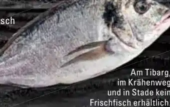 Edeka Frischemarkt Dorade Angebot