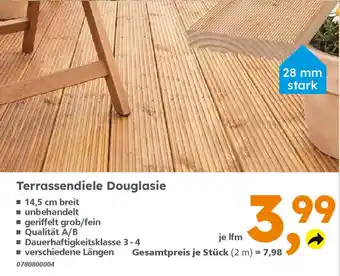 Globus Baumarkt Terrassendiele Douglasie Angebot