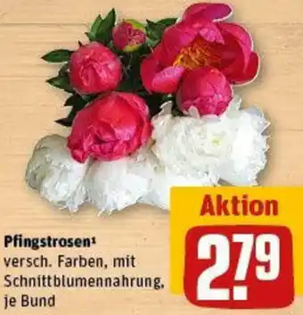 REWE Pfingstrosen Angebot