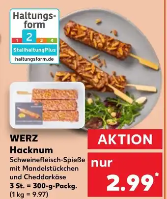 Kaufland WERZ Hacknum 300 g Packg. Angebot