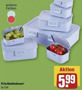 REWE Frischhaltedosen Angebot