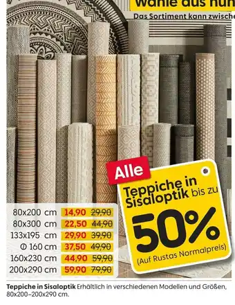 Rusta Teppiche in Sisaloptik Angebot