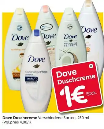 Rusta Dove Duschcreme 250ml Angebot