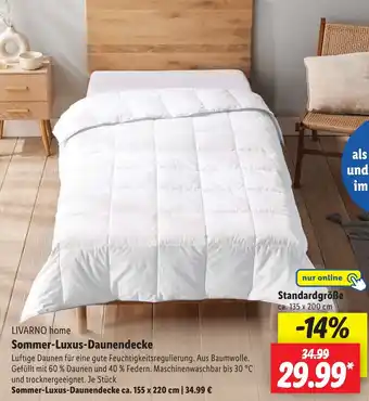 Lidl LIVARNO home Sommer-Luxus-Daunendecke Angebot