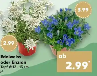 Kaufland Edelweiss oder Enzian Angebot