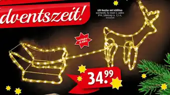 ROLLER LED Rentier mit Schlitten Angebot