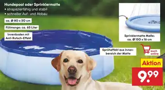 Netto Marken-Discount Hundepool oder Sprinklermatte Angebot