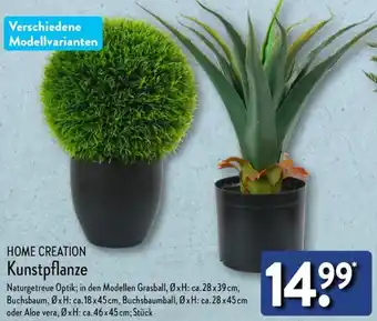 Aldi Nord HOME CREATION Kunstpflanze Angebot