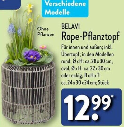 BELAVI Rope-Pflanztopf Angebot bei Aldi Nord