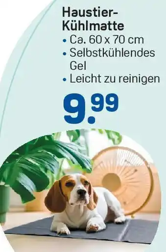 Rossmann Haustier Kühlmatte Angebot