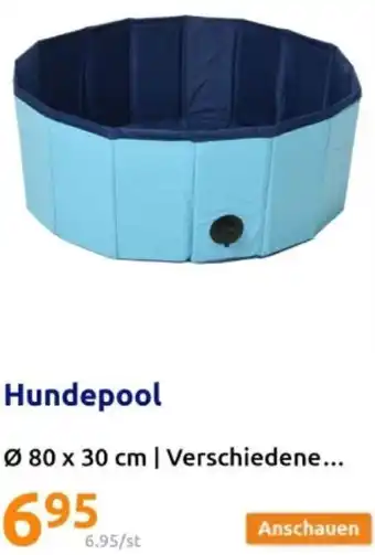 Action Hundepool Angebot