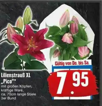 Edeka Lilienstrauß Xl „pico” Angebot