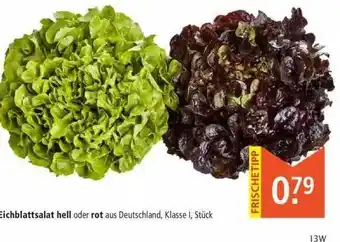 Marktkauf Eichblattsalat Hell Oder Rot Angebot