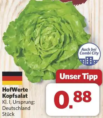 Combi HofWerte Kopfsalat Angebot