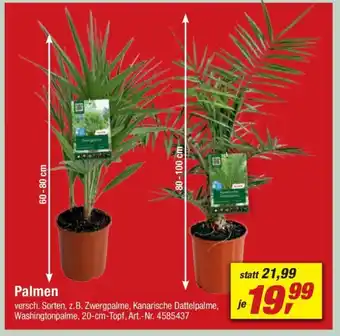 toom Baumarkt Palmen Angebot