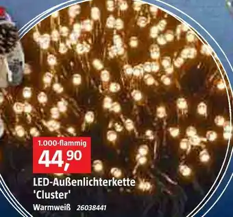 Bauhaus Led-außenlichterkette 'cluster' Angebot